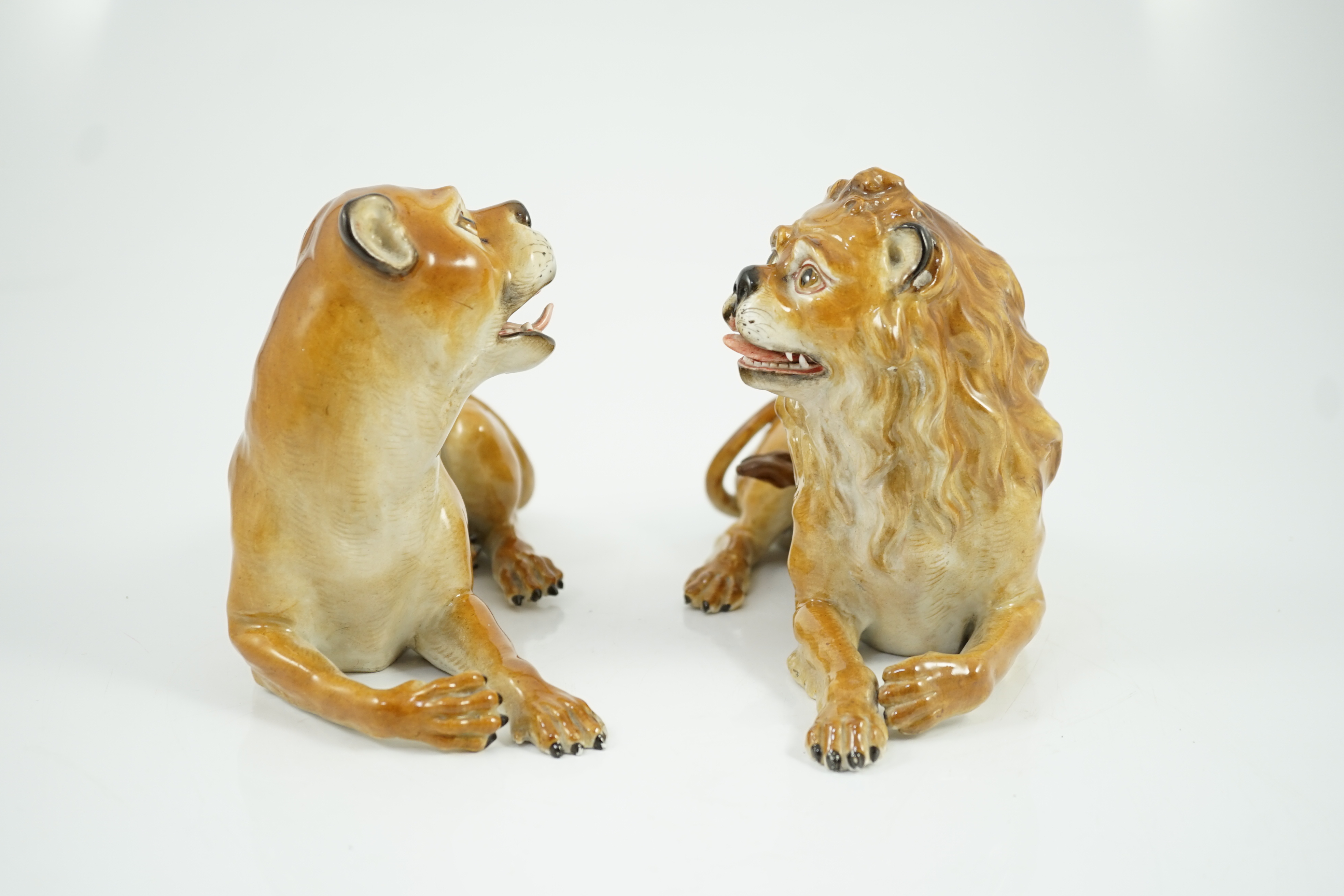 A pair of Meissen figures of a recumbent lion and lioness, 19th century, restoration